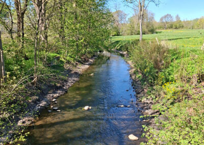 Augaard