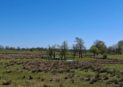 Dünenlandschaft