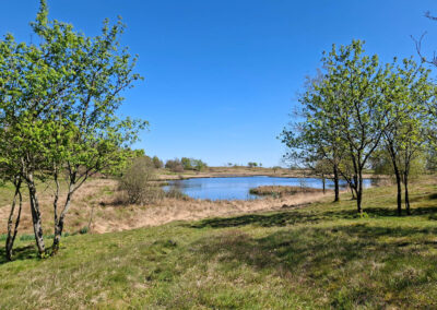 Dünenlandschaft am Treßsee