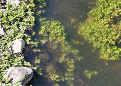 Kielstau Hexenbrücke - Wasser- und Bodenverband Obere Treene